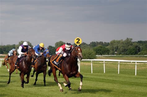 placepot dividends|Horse Racing Placepots .